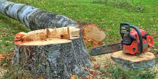 Best Lot and Land Clearing  in Millersville, TN